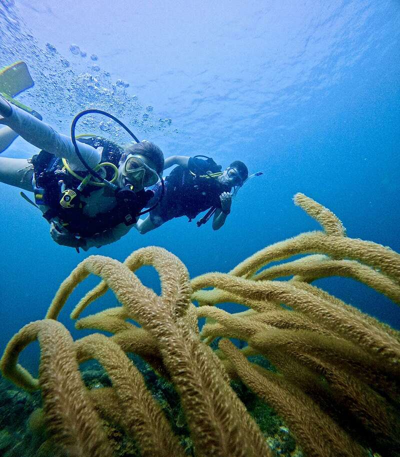 DCIM100GOPROGOPR0489.JPG