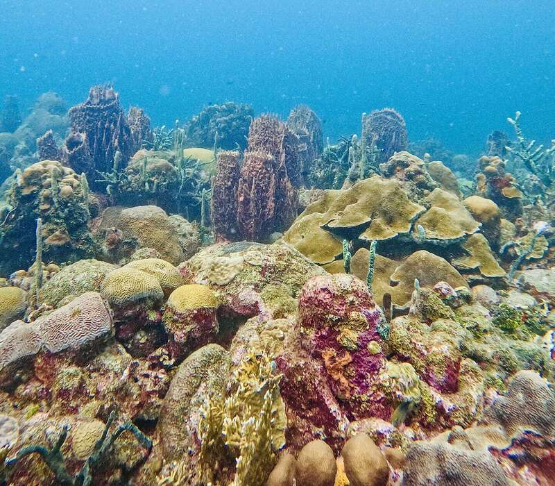 DCIM100GOPROGOPR0494.JPG