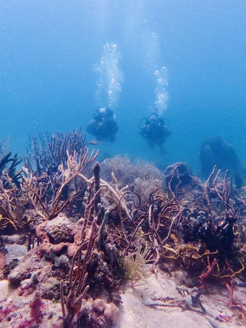 DCIM100GOPROGOPR1959.JPG